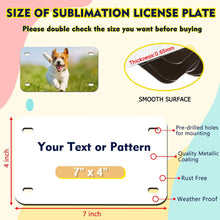 Load image into Gallery viewer, CUSTOM 7in by 4in small license plate