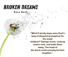 Load image into Gallery viewer, Broken Dreams signed paperback