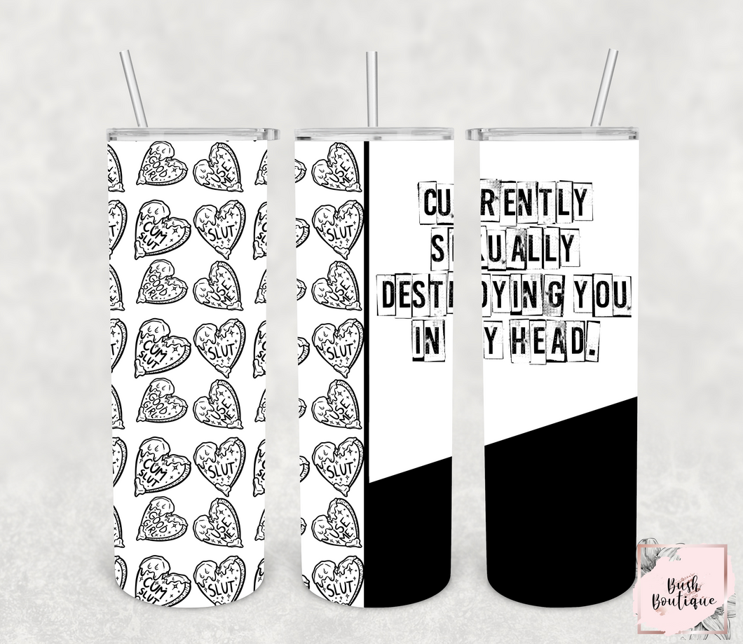 Sexually destroying you in my head 20 ounce tumbler